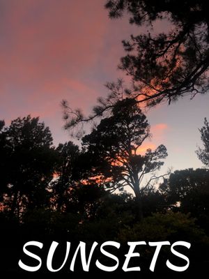 Sunsets's poster