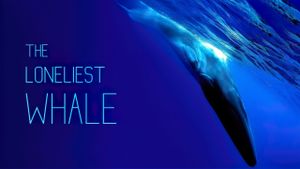 The Loneliest Whale: The Search for 52's poster