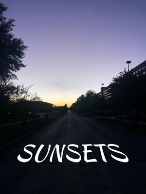 Sunsets's poster