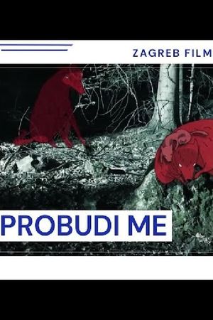 Probudi me's poster