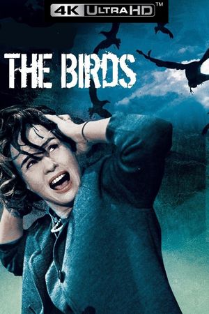 The Birds's poster