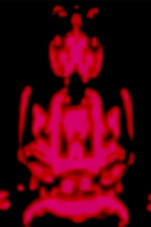 The Star Curtain Tantra's poster