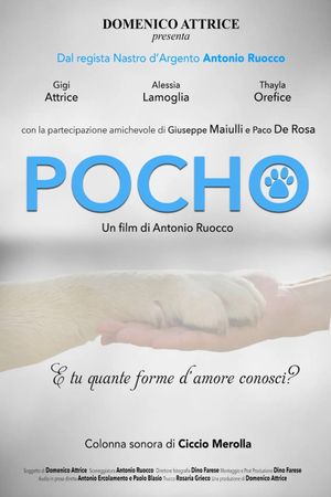 Pocho's poster