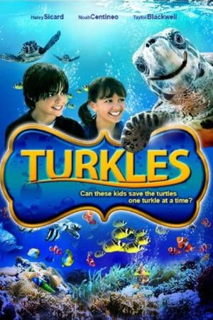 Turkles's poster