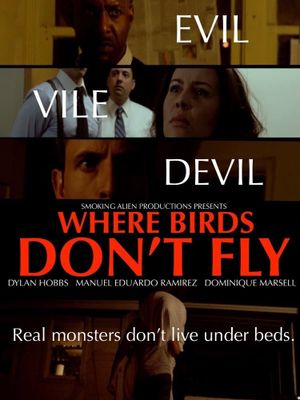 Where Birds Don't Fly's poster