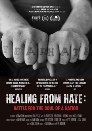 Healing from Hate: Battle for the Soul of a Nation's poster image