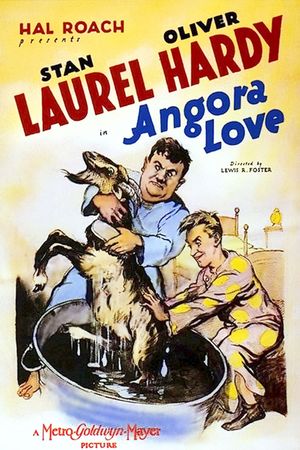 Angora Love's poster