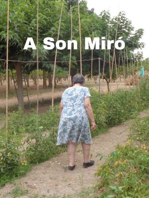 A Son Miró's poster