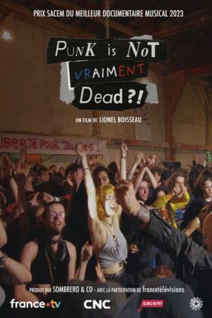 Punk is not vraiment dead?!'s poster