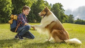 Lassie Come Home's poster