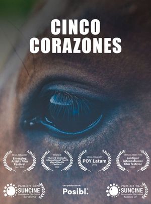 Cinco Corazones's poster