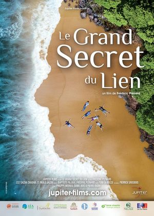 Le Grand Secret du lien's poster