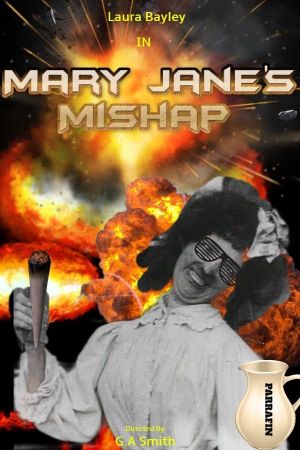Mary Jane's Mishap's poster