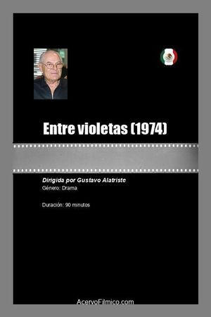 Entre violetas's poster