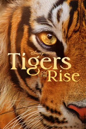 Tigers on the Rise's poster
