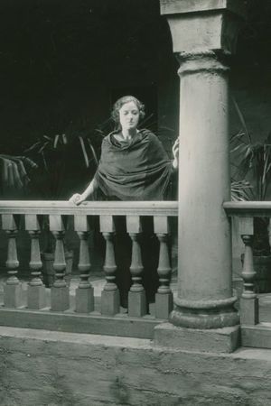 The House Surrounded's poster image
