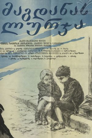 Magdana's Donkey's poster