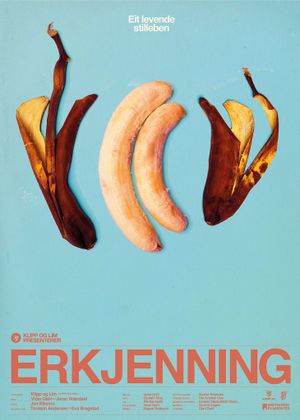 Erkjenning's poster image