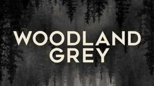 Woodland Grey's poster