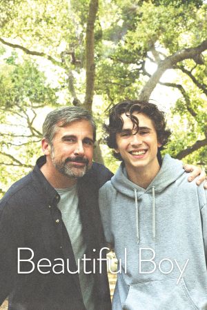 Beautiful Boy's poster