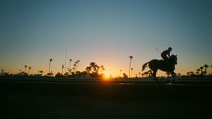 Jockey's poster