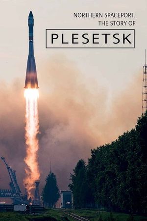 Northern Spaceport. The Story of Plesetsk's poster