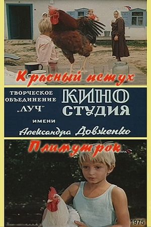 Krasnyy petukh plimutrok's poster