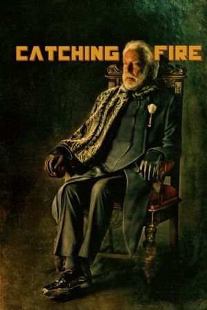The Hunger Games: Catching Fire's poster
