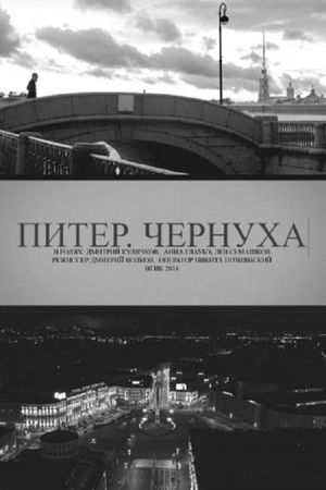 Petersburg. Noir's poster