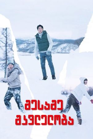 The Third Murder's poster