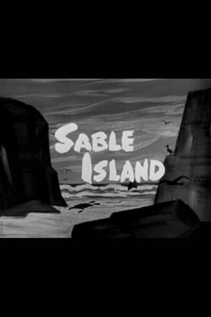 Sable Island's poster