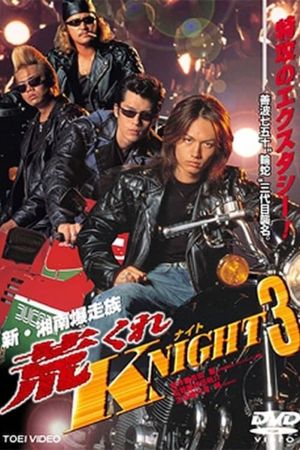 Rough KNIGHT 3's poster