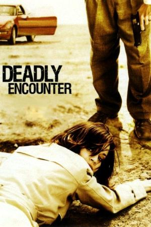 A Deadly Encounter's poster