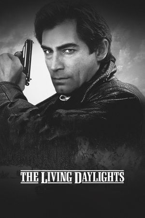 The Living Daylights's poster