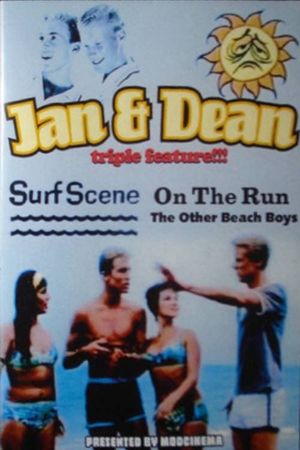 Jan & Dean: On the Run's poster