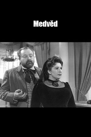 Medvěd's poster