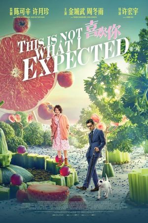 This Is Not What I Expected's poster image
