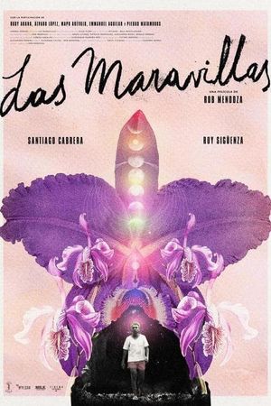 Back to Las Maravillas's poster