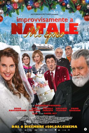 Improvvisamente a Natale mi sposo's poster