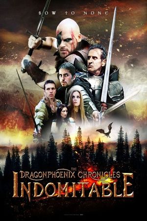 The Dragonphoenix Chronicles: Indomitable's poster