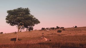 Marlina the Murderer in Four Acts's poster