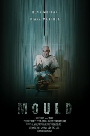 Mould's poster