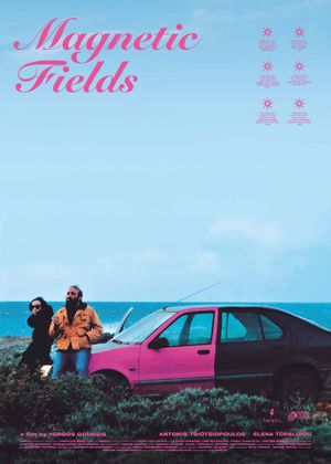 Magnetic Fields's poster