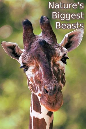 Nature's Biggest Beasts's poster