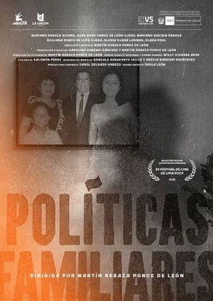 Family Politics's poster