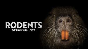 Rodents of Unusual Size's poster