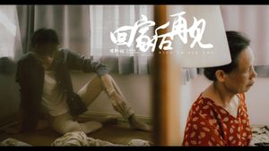 回家后再见's poster