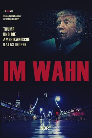 Im Wahn - Trump und die Amerikanische Katastrophe's poster image