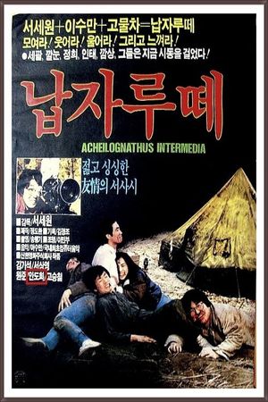Napjarute's poster