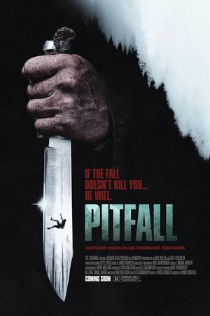 Pitfall's poster